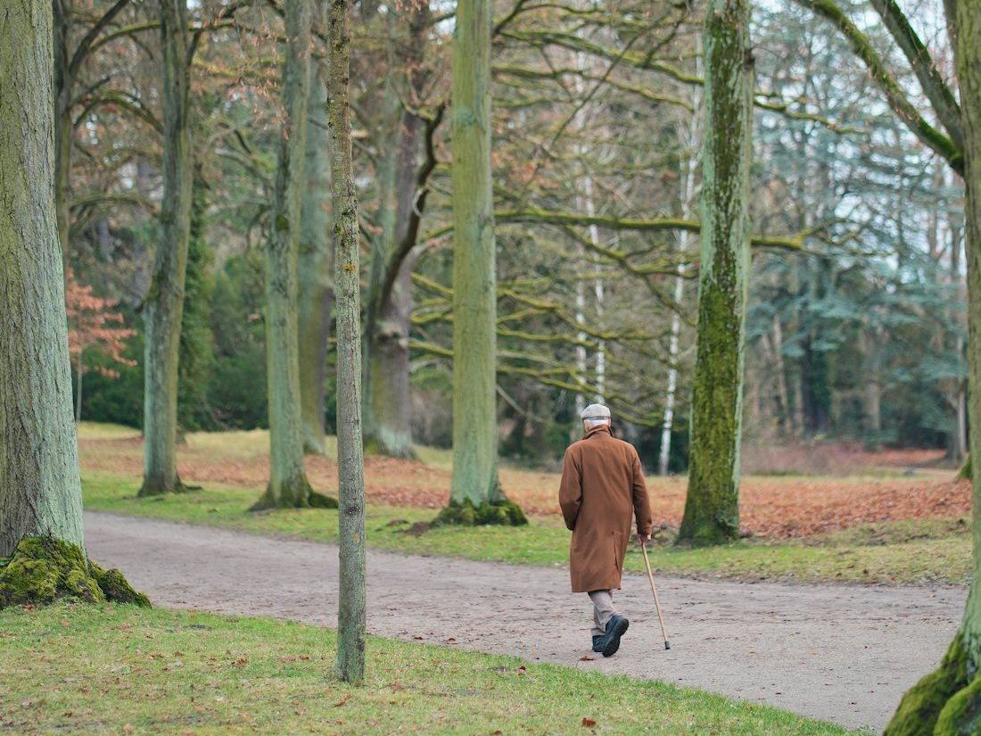 Pessoa idosa caminhando por uma alameda arborizada